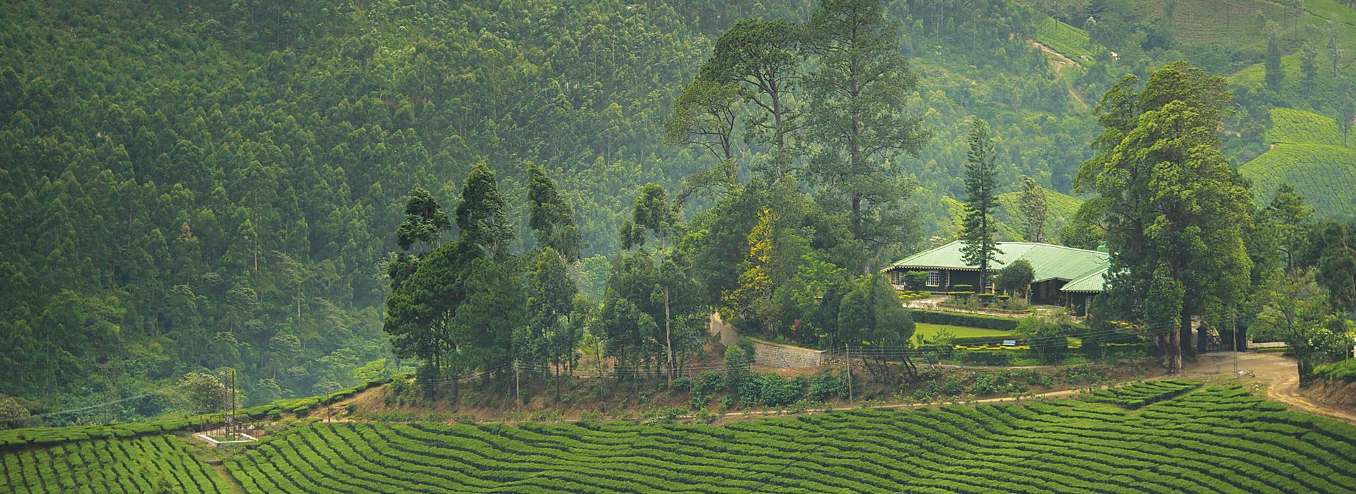 munnar